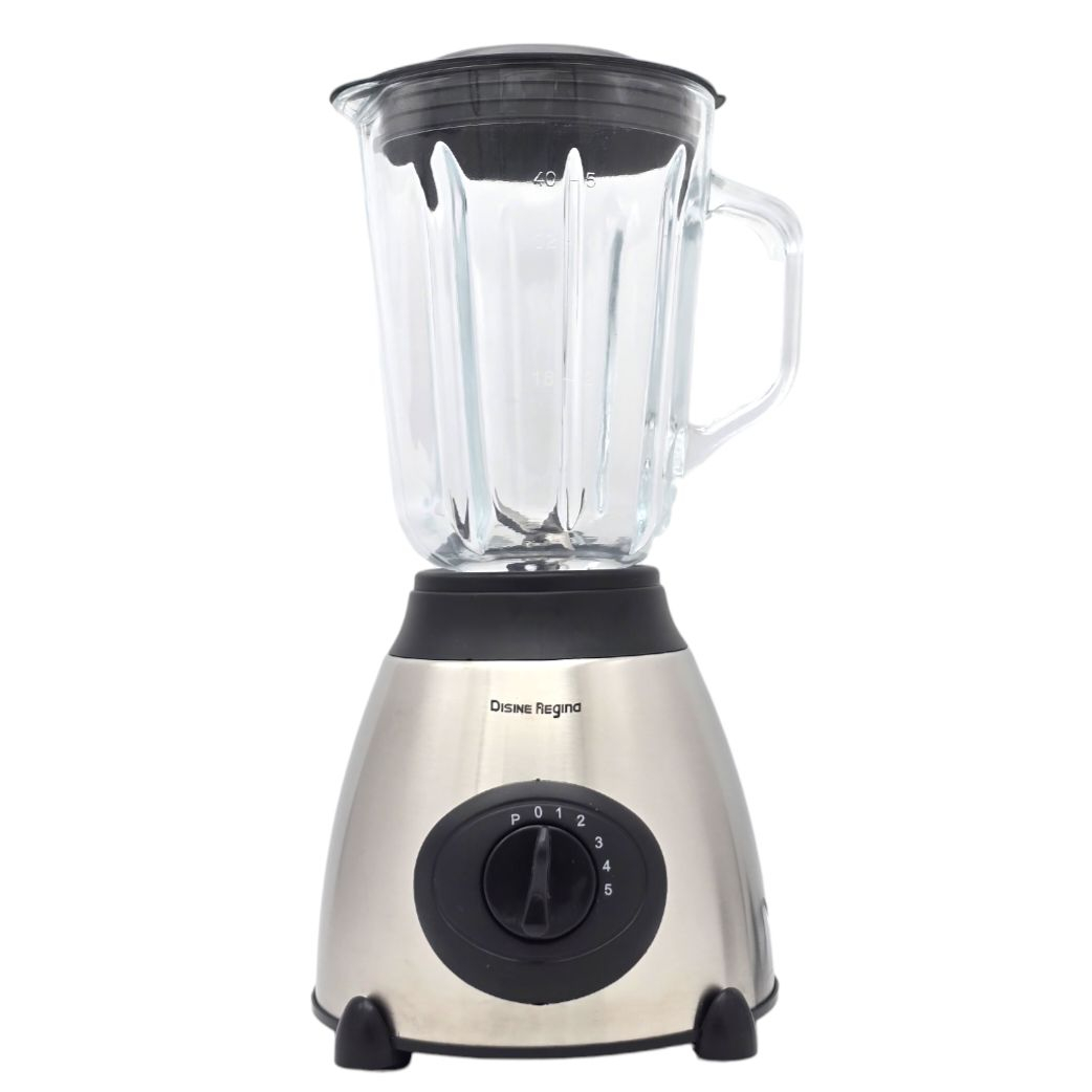 مخلوط کن و آسیاب کن دسینی مدل DR-Y66
